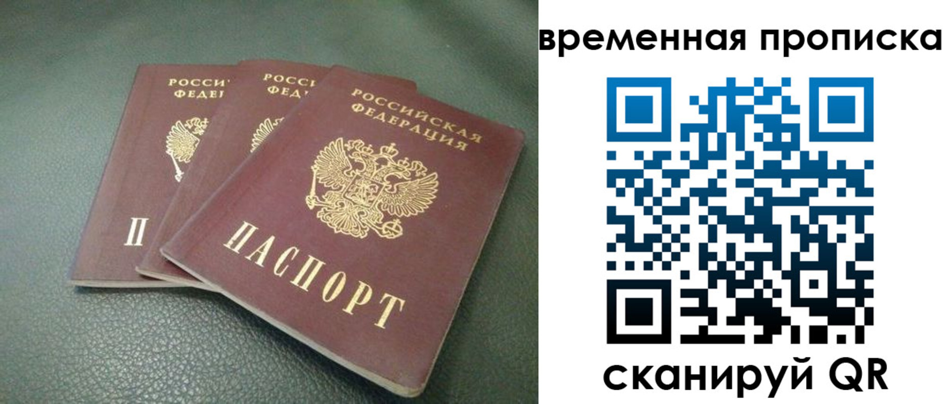 прописка гарантия в Красноармейске